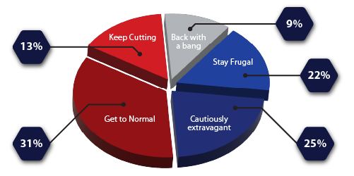 A pie chart depicting newly created consumer segments due to COVID-19 pandemic.